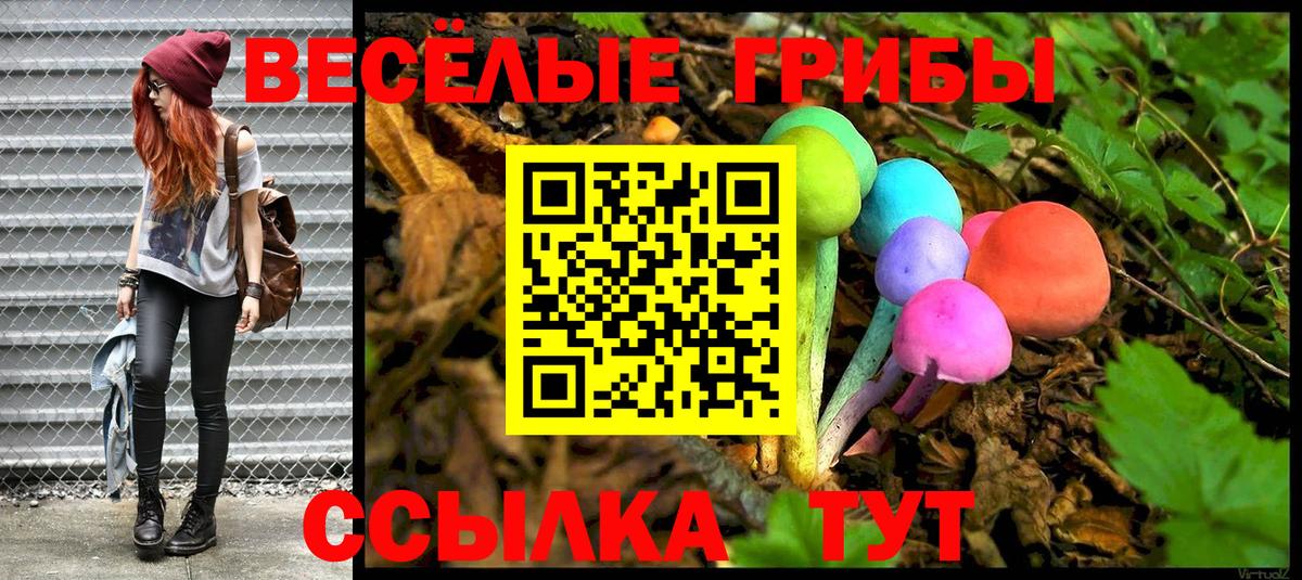 Псилоцибиновые грибы Magic Shrooms  наркошоп  Ленинск-Кузнецкий  Вход с VPN 