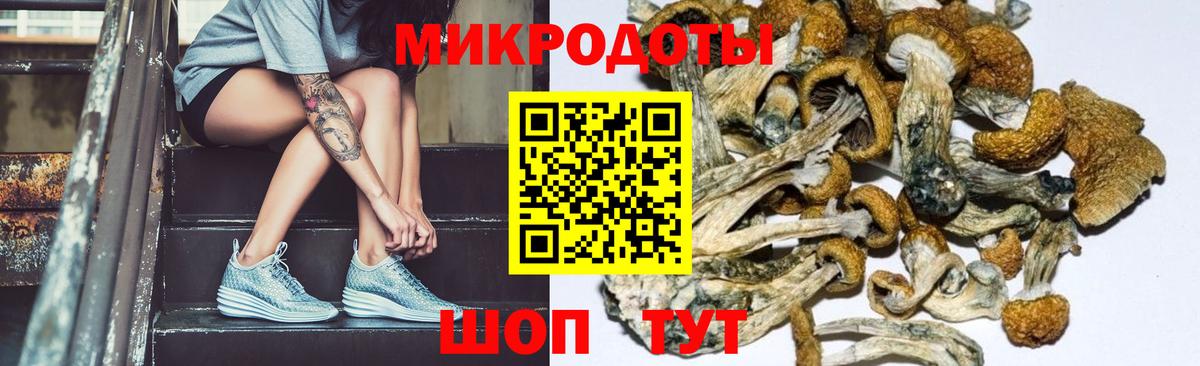 Псилоцибиновые грибы прущие грибы Ленинск-Кузнецкий